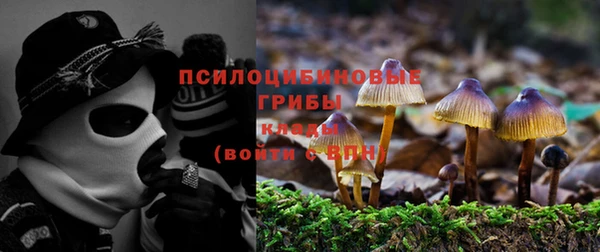 ALPHA PVP Корсаков